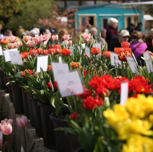 Gartenmarkt „Späth'er Frühling“    